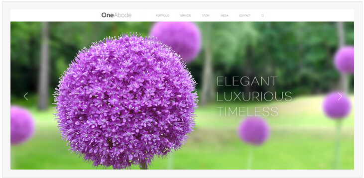 �L(f��ng)���زľW(w��ng)վ�O(sh��)Ӌ